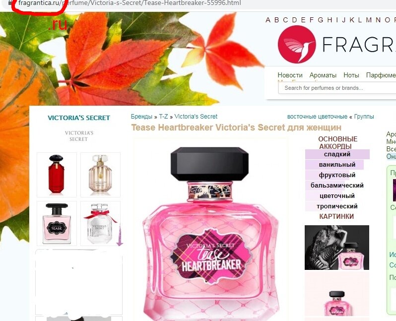 Русскоязычный сайт www.fragrantica.ru. Для примера взяла малопродающийся у нас аромат от Victoria’s Secret