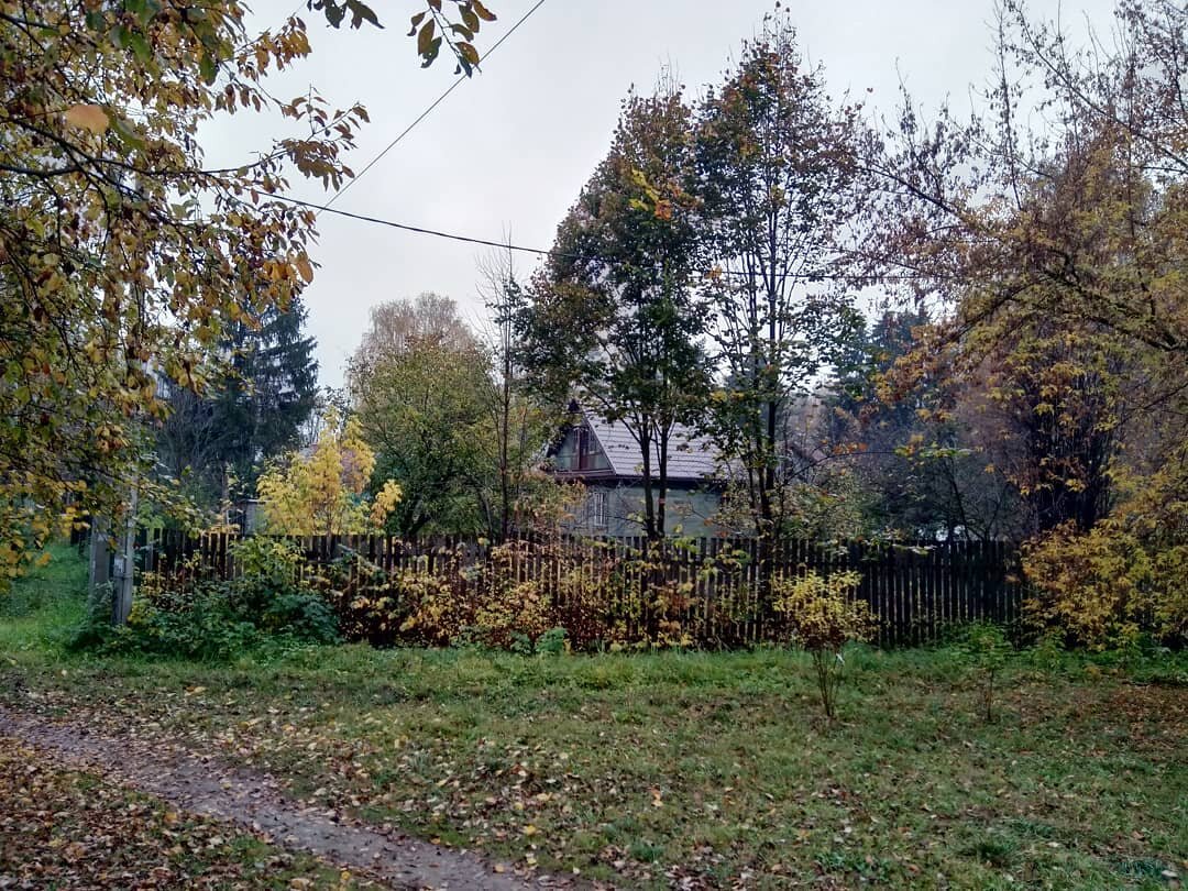 Фото автора. Почему-то представила, что примерно такие дачные домики когда-то построили мужья героинь моего рассказа)