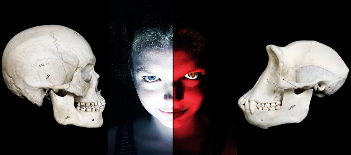 Коллаж. Источник https://www.pinterest.ru/