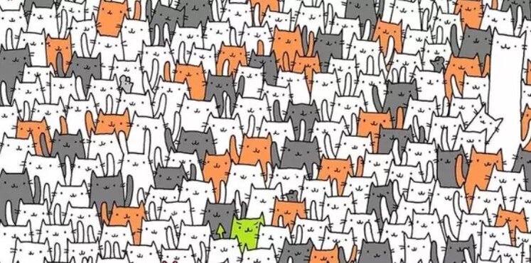 Источник фото: ru.sm.news