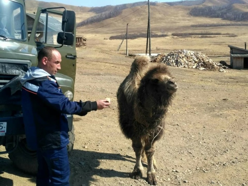 ФОТО ПРЕСС-СЛУЖБЫ ГОСВЕТСЛУЖБЫ ЗАБАЙКАЛЬЯ