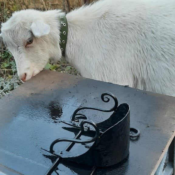 (с) Зелимхан Евлоев