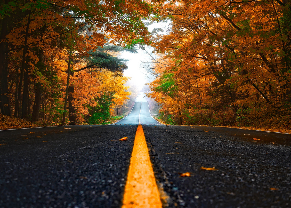 фото из фотостока Яндекса.