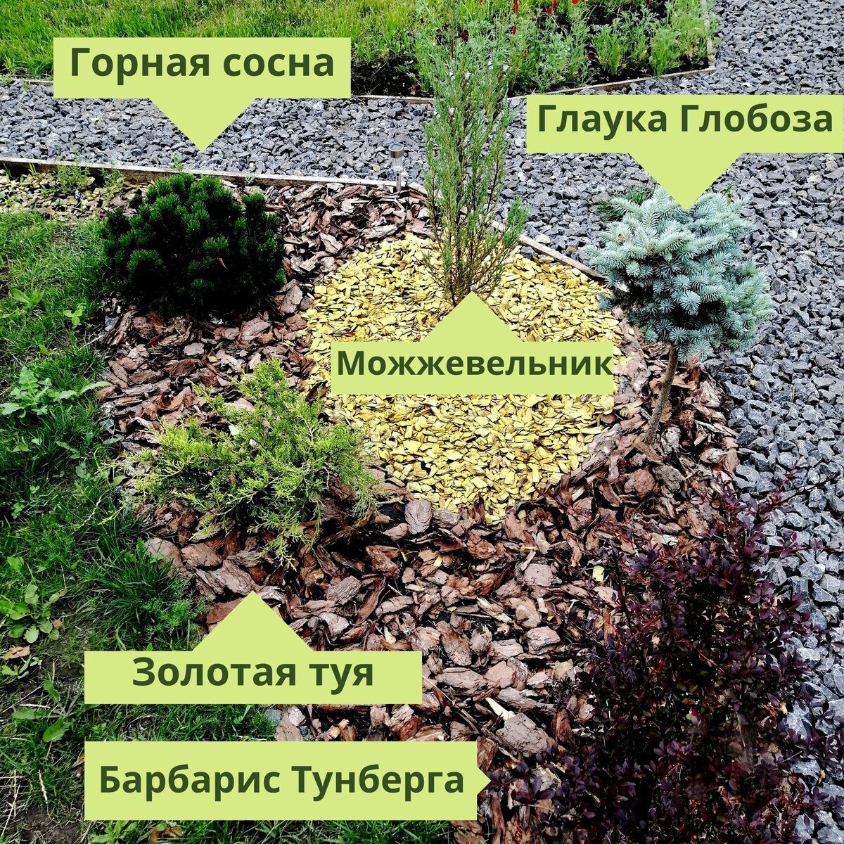 Схема рокария