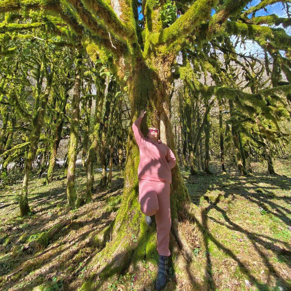 Волшебный лес по дороге к Рице