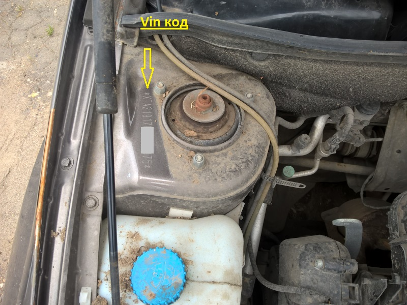 Фото Яндекс.Картинки