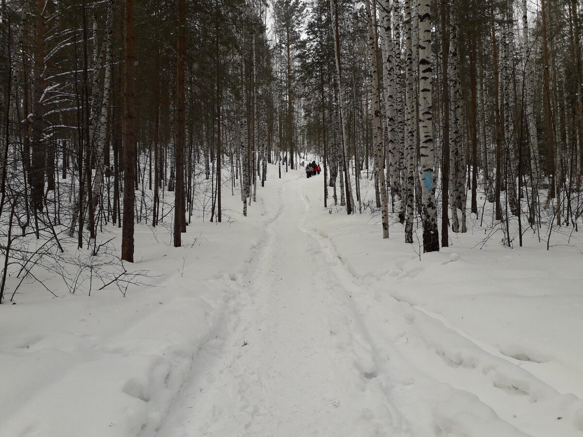 Тропа к скалам хорошо натоптана. Фото автора.