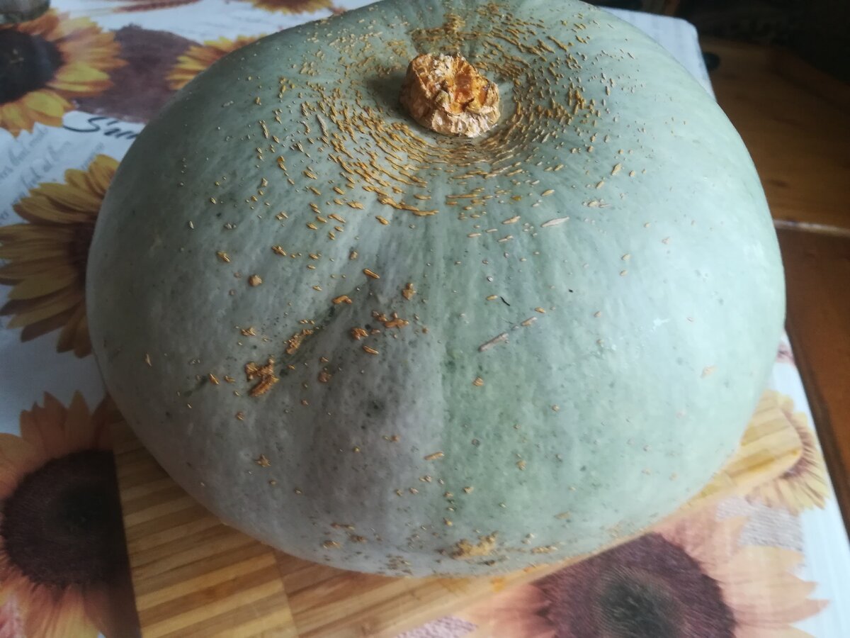 фото: личное