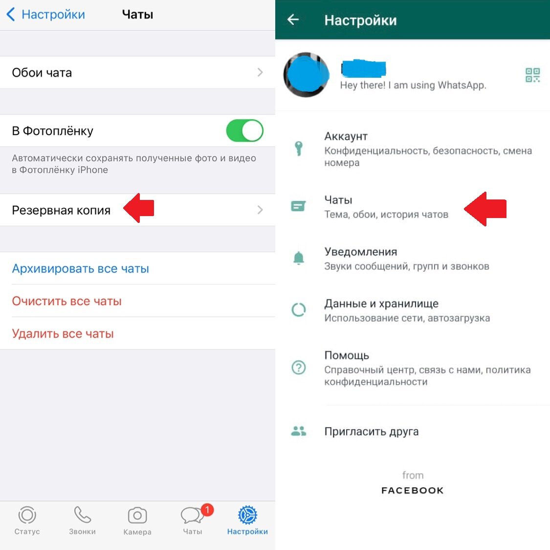 Сохрани все переписки WhatsApp, чтобы не потерять: сообщения, фото, видео.  Иструкция к iPhone и Android | Александр Алексеев | Дзен