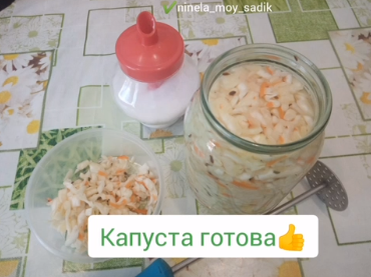 капуста квашеная фото автора