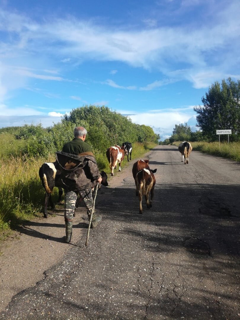 Фото автора#деревенская жизнь #мои истории 