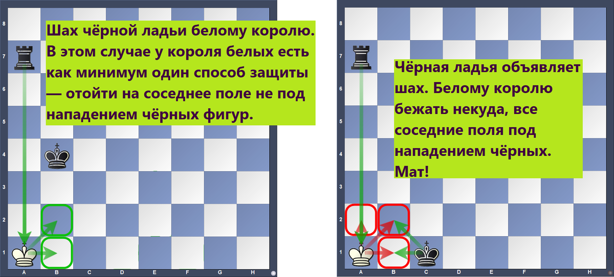 Шах и мат белому королю
