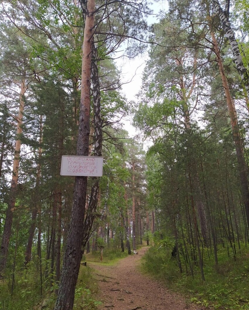 База отдыха на озере Чебаркуль. Очень противоречивое 