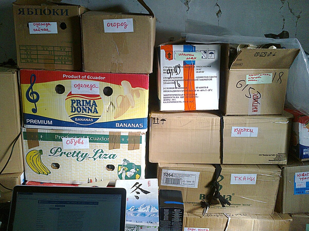 фото автора