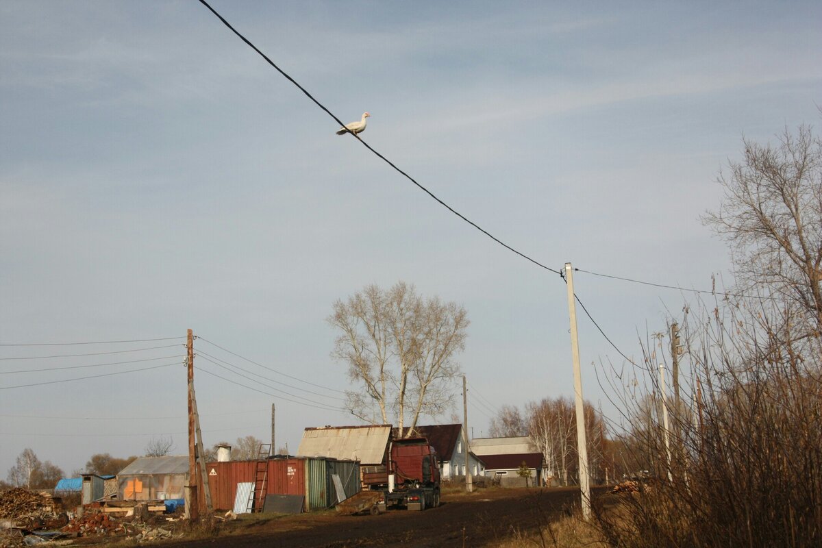 На проводах всё хорошо видно...