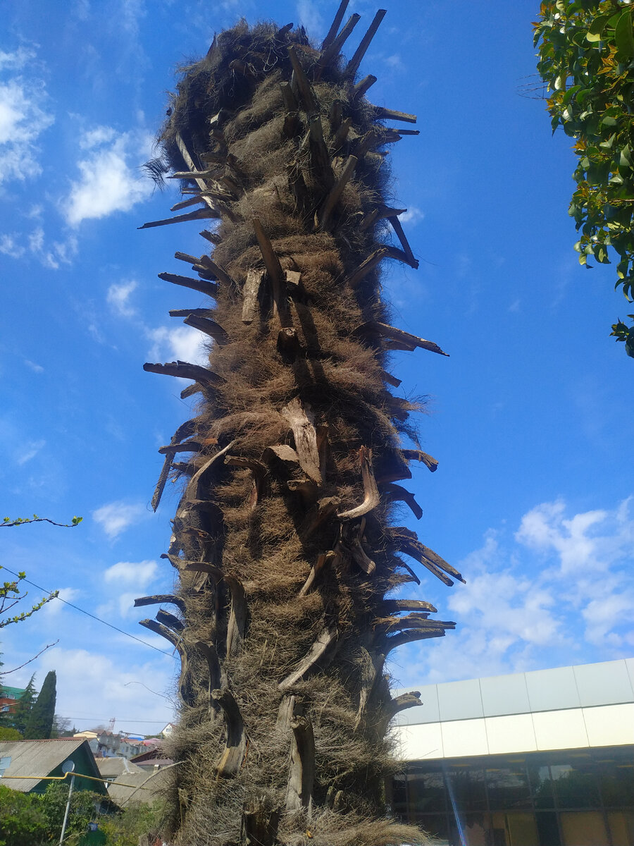 Почти вышка