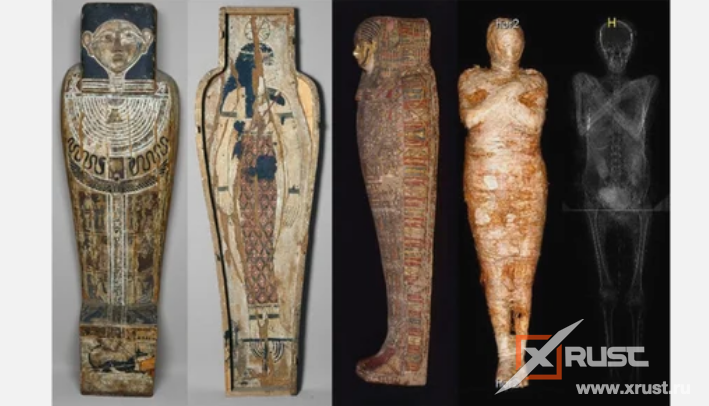  Первая в мире египетскую мумию беременной женщины, которую ранее приняли за мумию мужчины-жреца, найдена в запасниках Варшавского Национального музея.