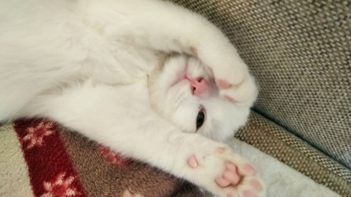 личное фото автора