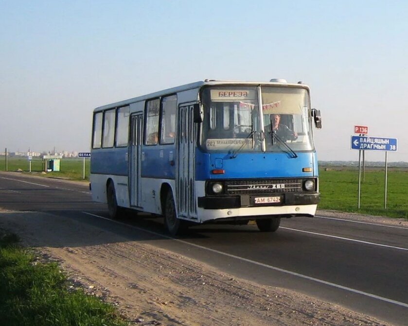 Фото из интернета 