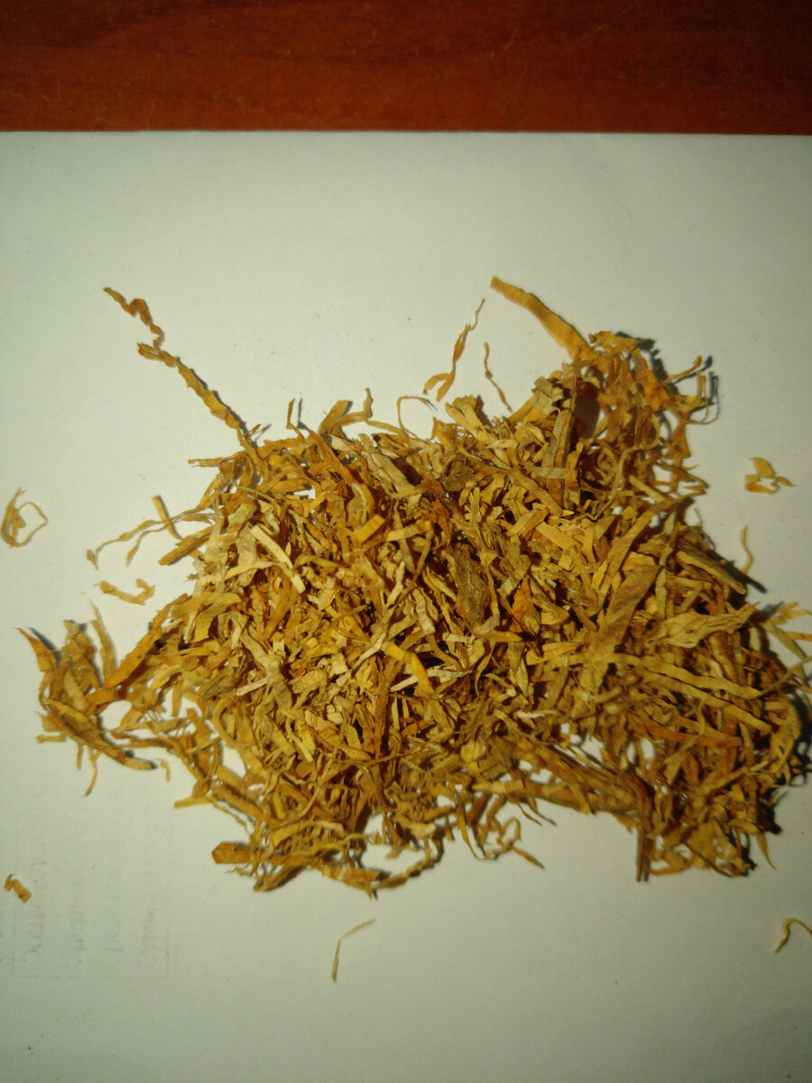 Авторское фото.