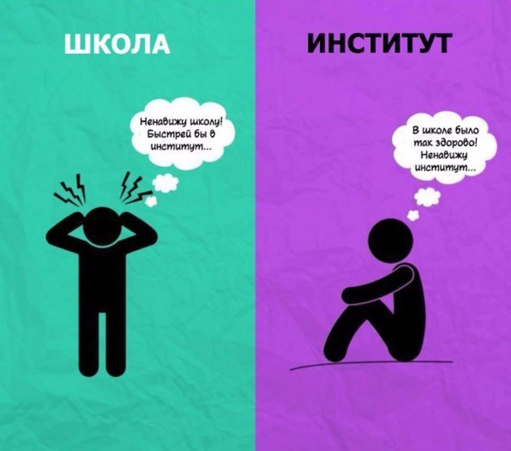 Колледж и университет разница. Разница между школой и институтом. Школа и университет различия. Разница между школой и университетом. Институт школа разница