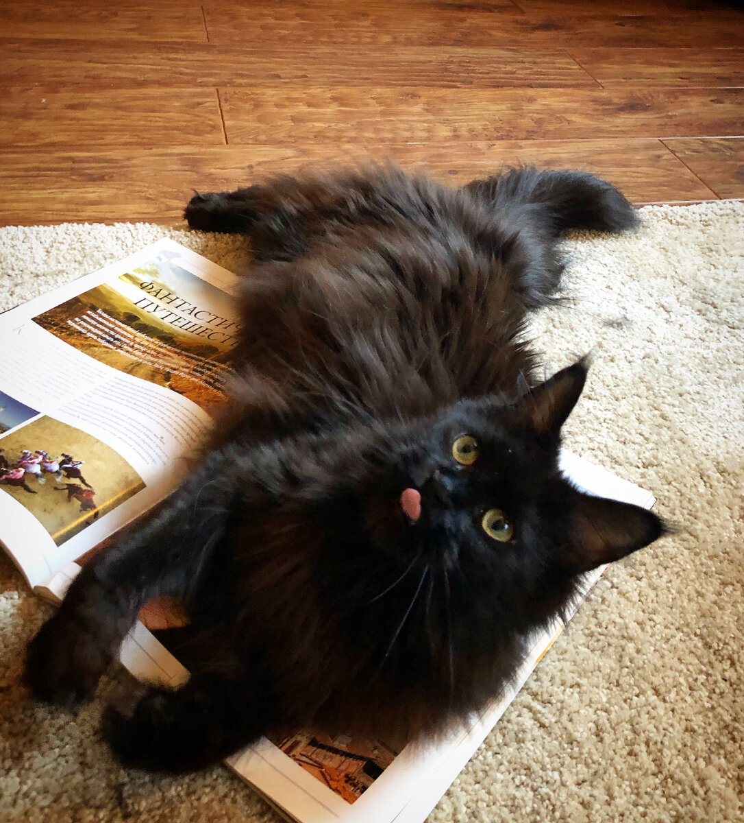 положите под меня кошелек)