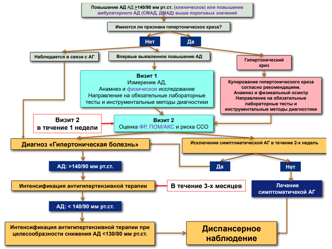 Артериальная гипертензия протокол. Тактика ведения пациентов с артериальной гипертензией. Тактика ведения пациента при артериальной гипертензии. Диагностический алгоритм при артериальных гипертензиях. Тактика ведения пациента с артериальной гипертонией.