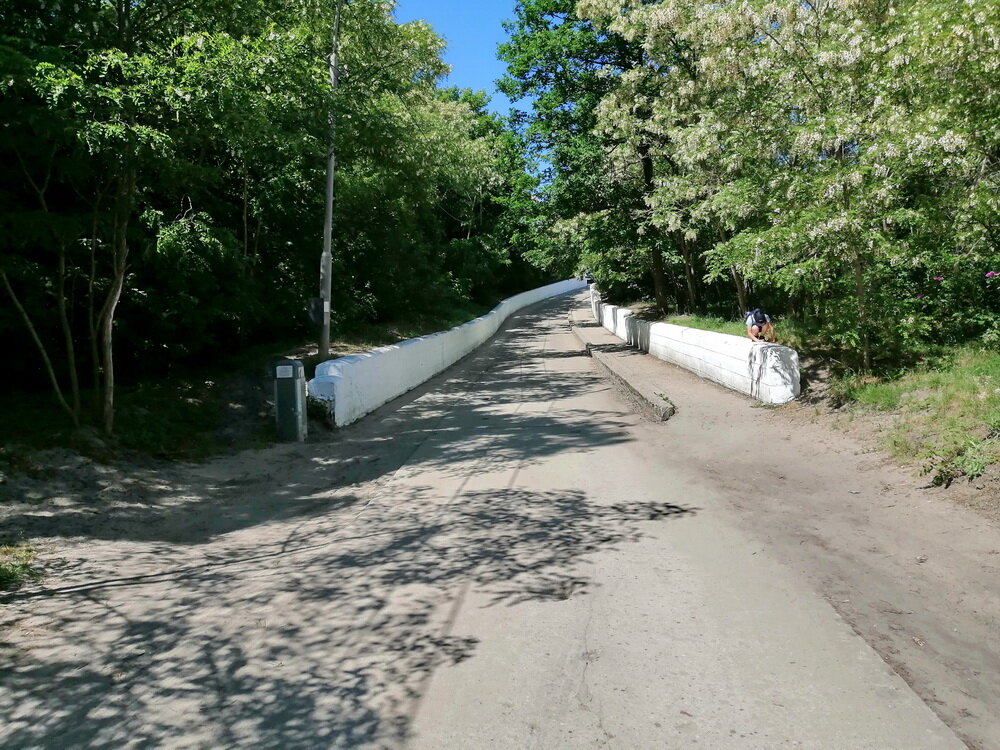 Дорога к пляжу утопает в аромате цветущей белой акации 