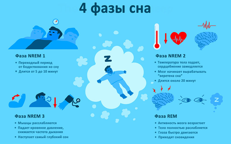 Сон человека характеризуется чередованием фаз быстрого и медленного сна. Источник verywellhealth.com