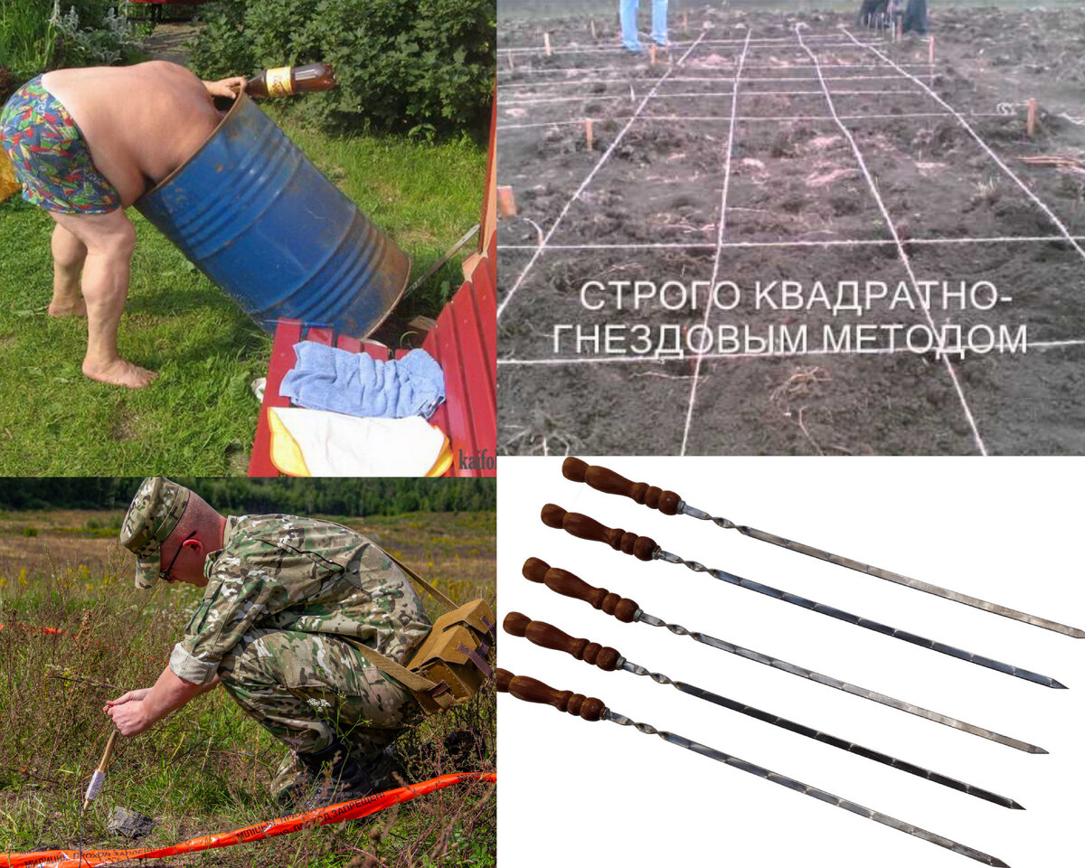 Коллаж для примера.