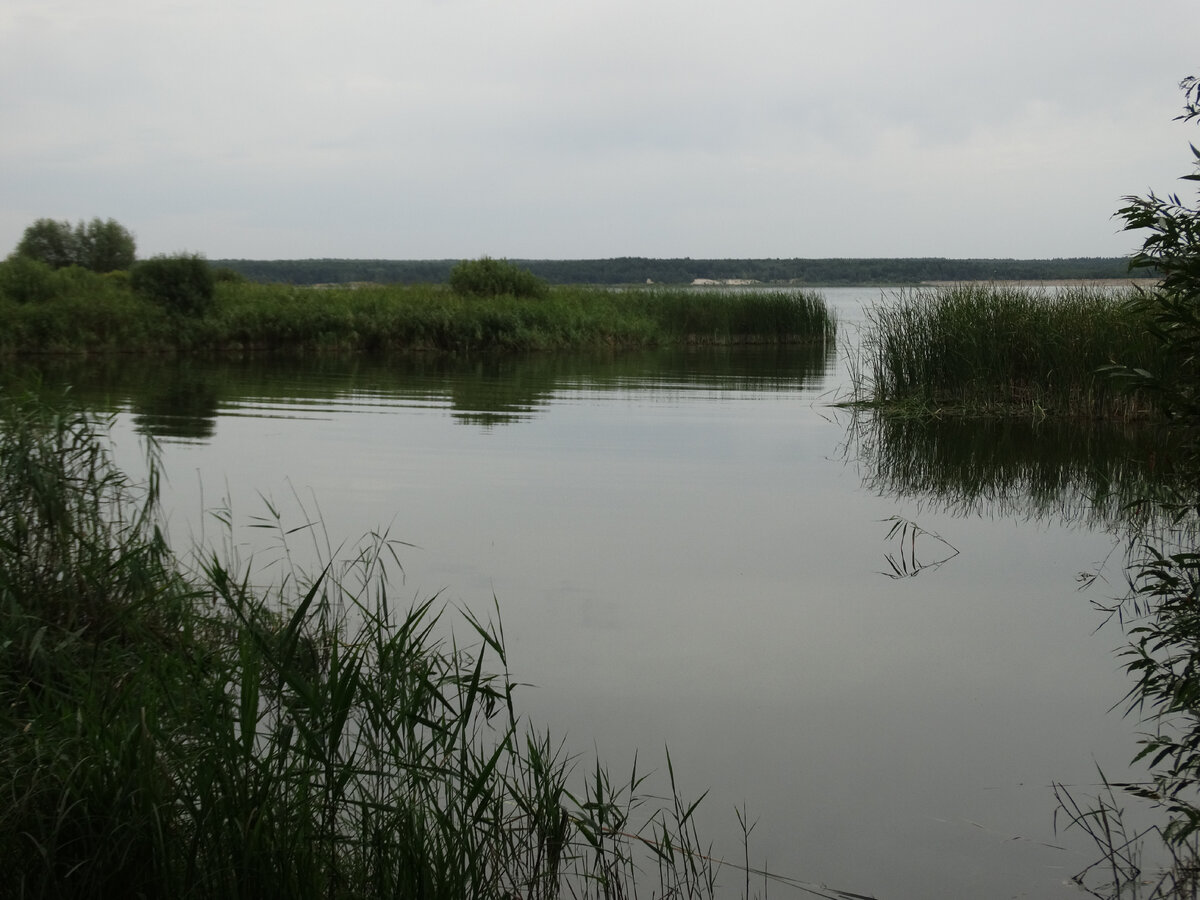 Самый большой водоем в Тамбовской области. Главный пляж Котовского  водохранилища, и его окрестности | Море внутри - life & travel | Дзен