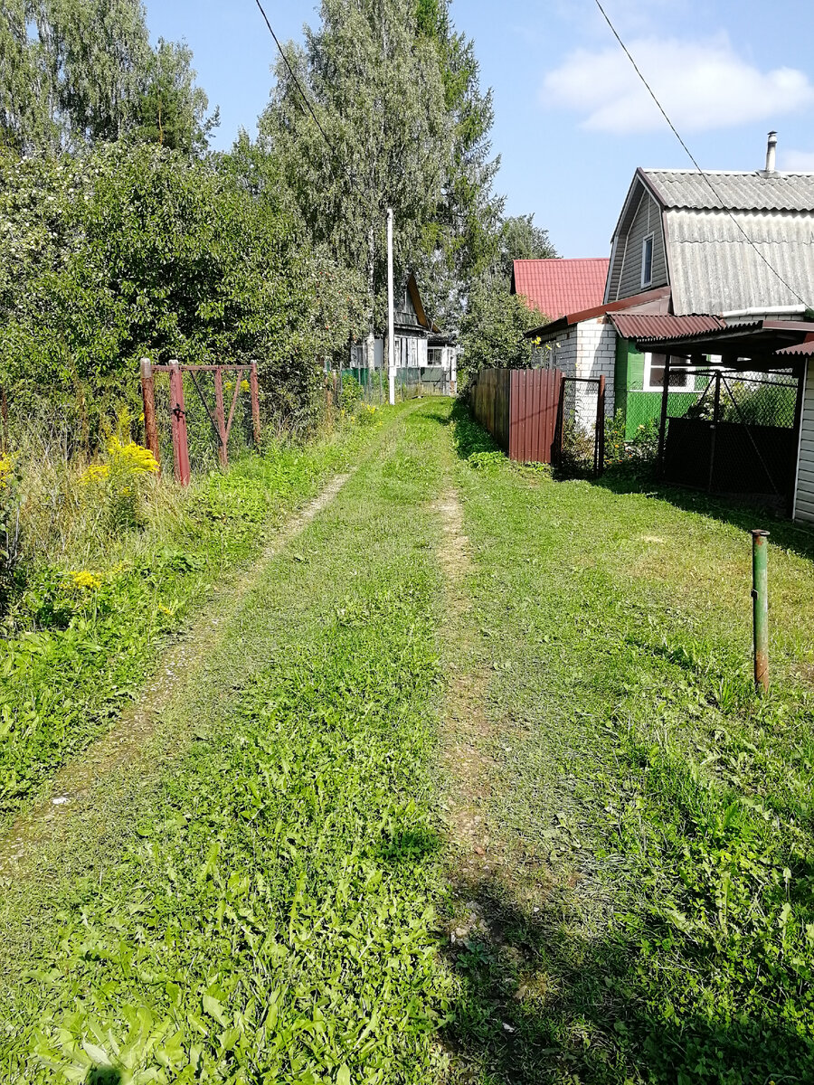 Личный архив 
