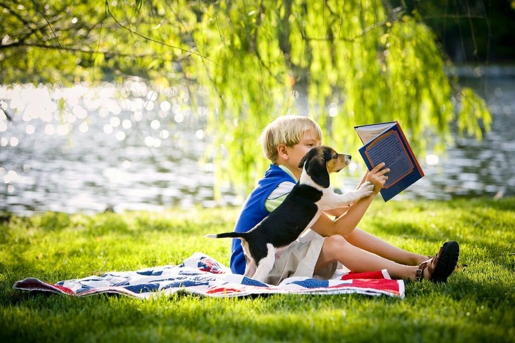 Картинка из свободного интернета