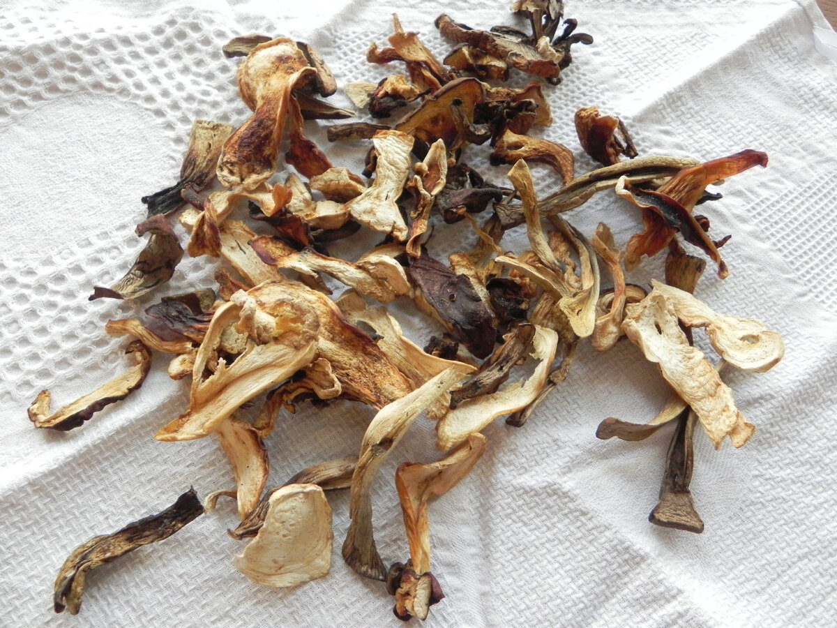 Вот так выглядят сушеные грибы