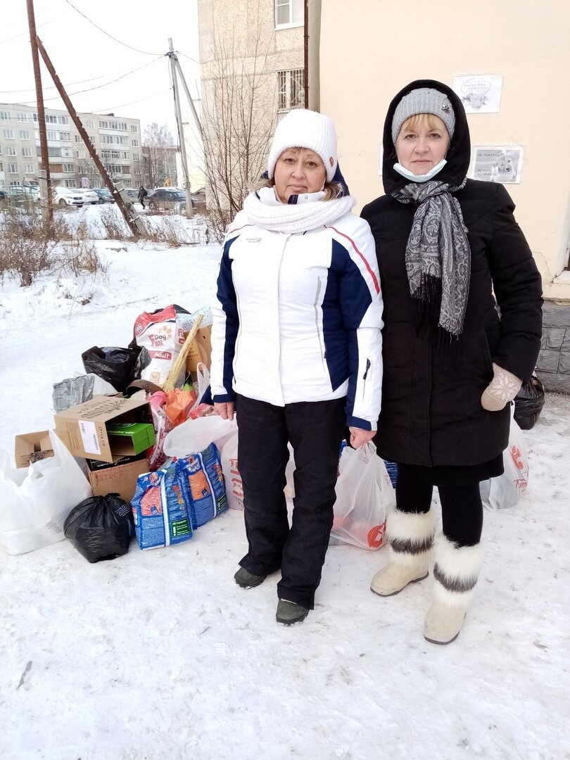 Неравнодушные среднеуральцы и жители Верхней Пышмы собрали «Коробку добра»  для приюта «Надин Ковчег» | «Надин Ковчег» | Дзен