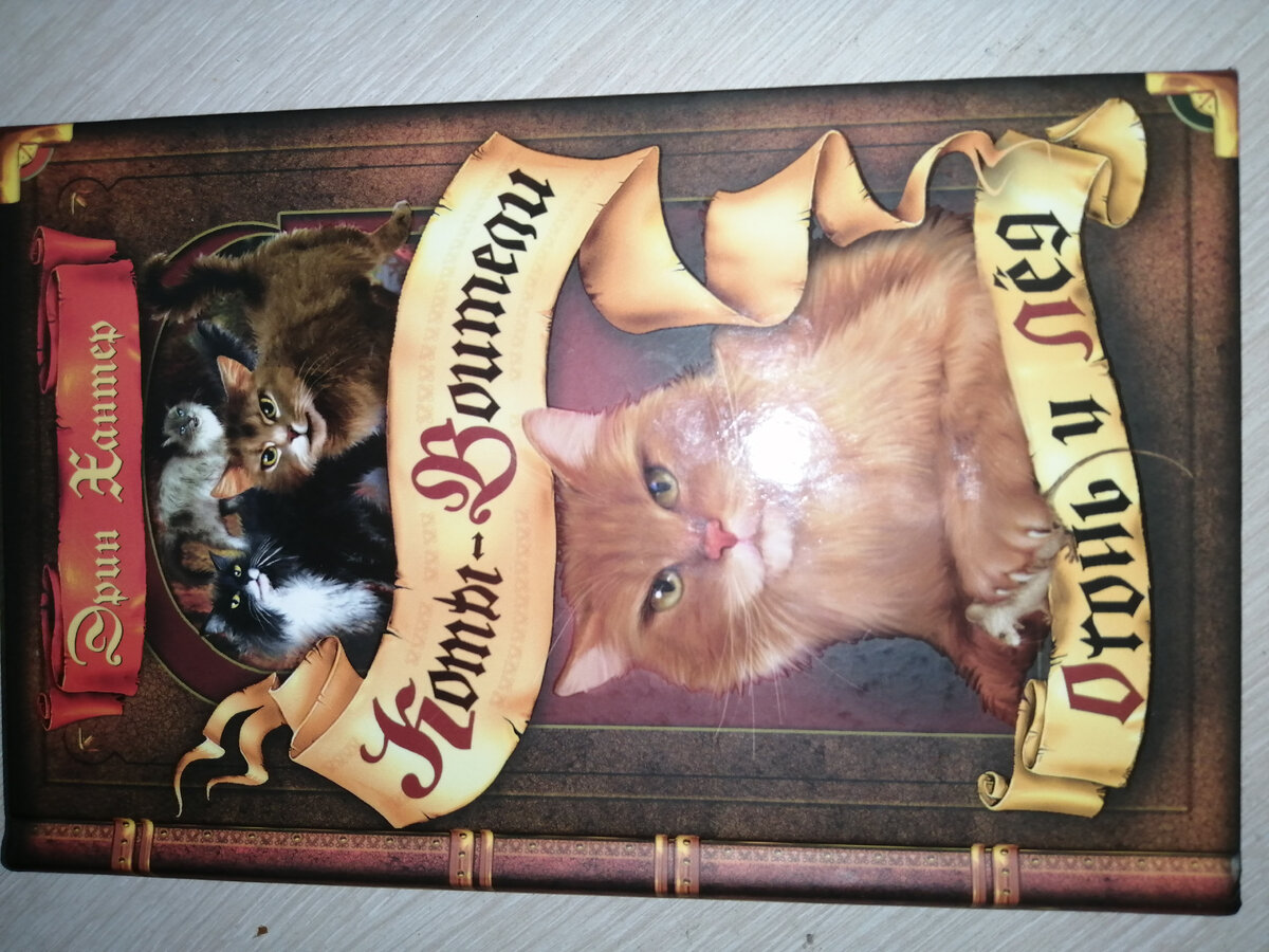 Лицевая сторона