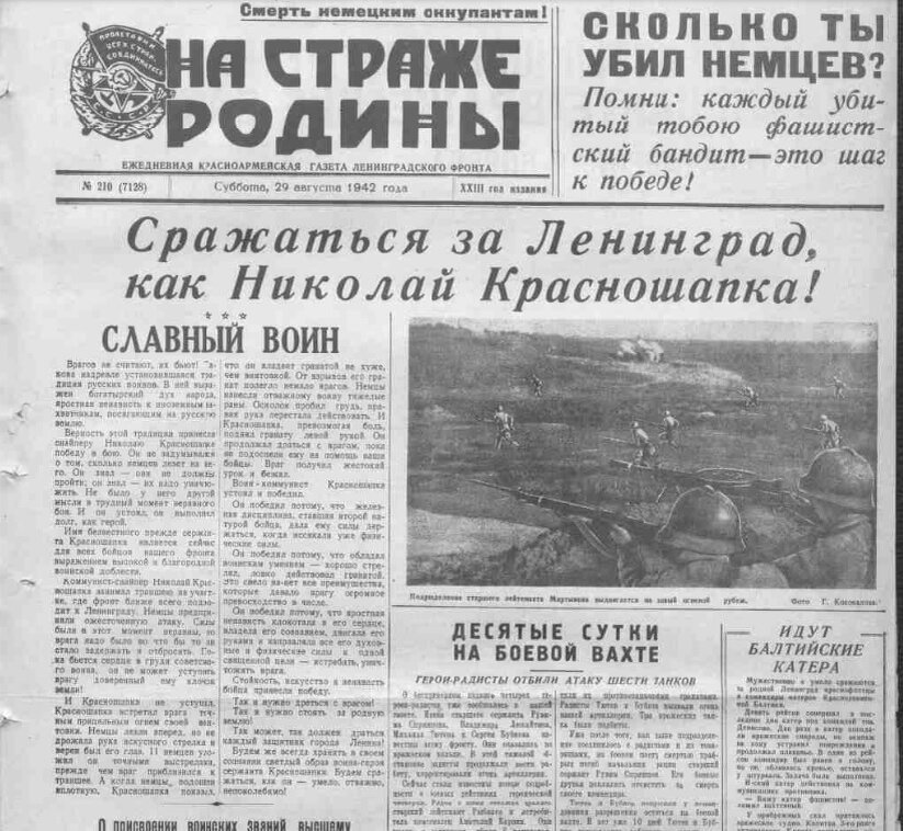 Фрагмент ежедневной красноармейской газете Ленинградского фронта «На страже Родины», №210 (7128) от 29.08.1942 г. с описанием подвига героя.