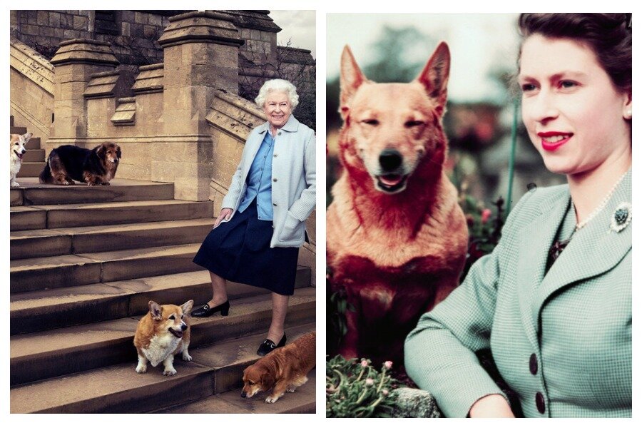 гардероб елизаветы 2. элизабет королева великобритании. елизавета 2 машет рукой и улыбается миллион фунтов. хобби елизаветы второй. елизавета 2 королева великобритании.