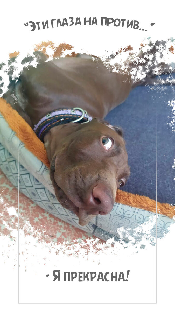 Красота - страшная сила!