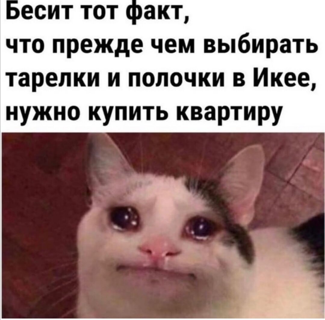У нас тоже есть тарелочки из икеи. На одну меньше уже. Не благодарите. 😼