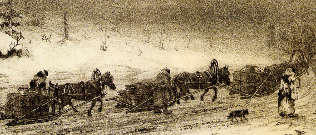 фото из интернета