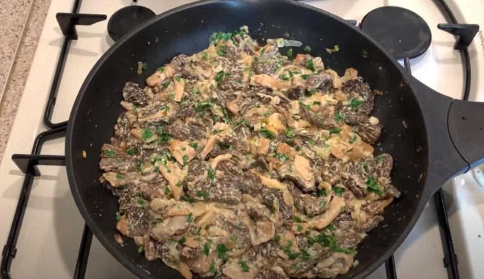 Грибы сморчки жареные. Сморчки со сливками. Грибы сморчки жареные. Сморчки приготовленные. Сморчки жареные.