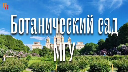 Сиренево-пионное настроение в Ботаническом саду МГУ. Прогулки по Москве.