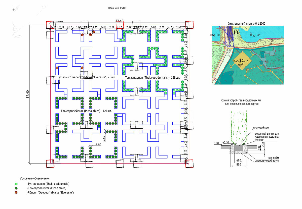 План проекта "Зелёный лабиринт"