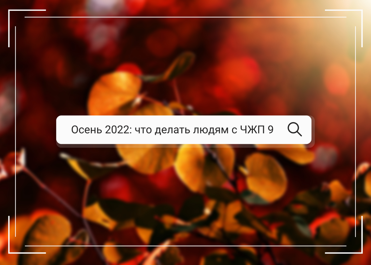 Описание ЧЖП 9