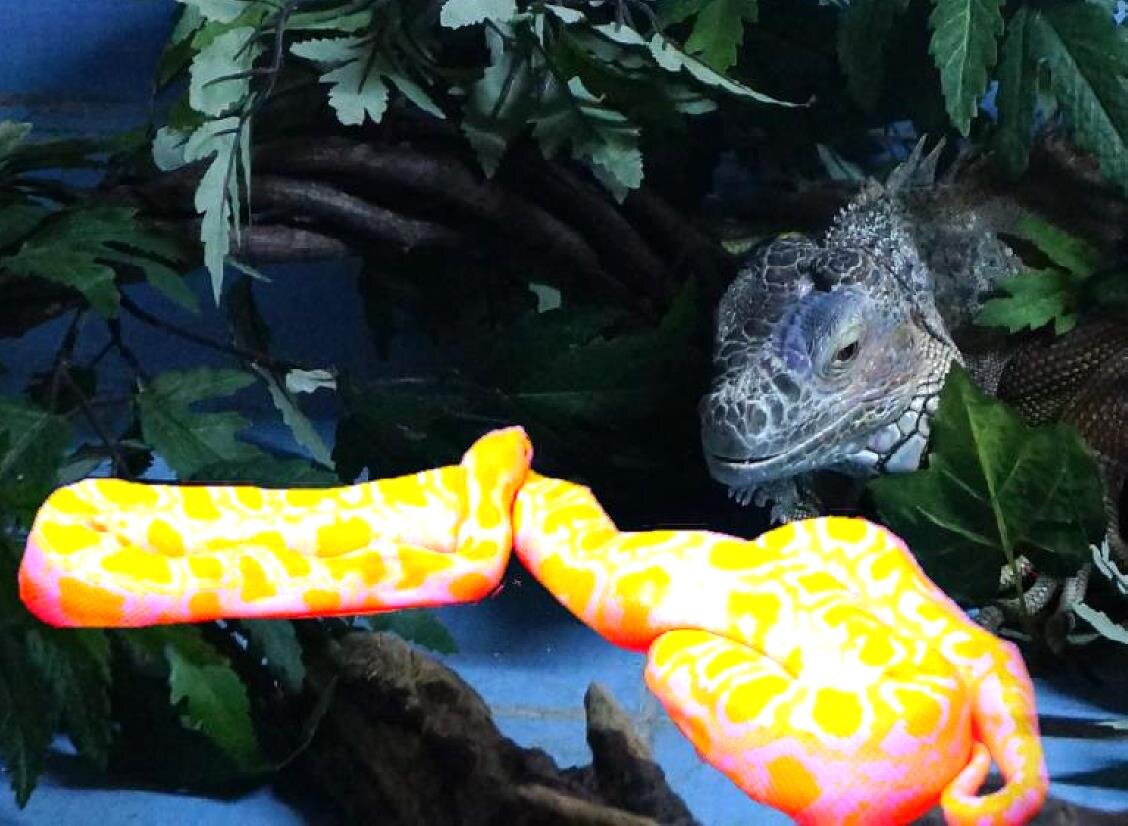 нашли кого на удочку ловить 