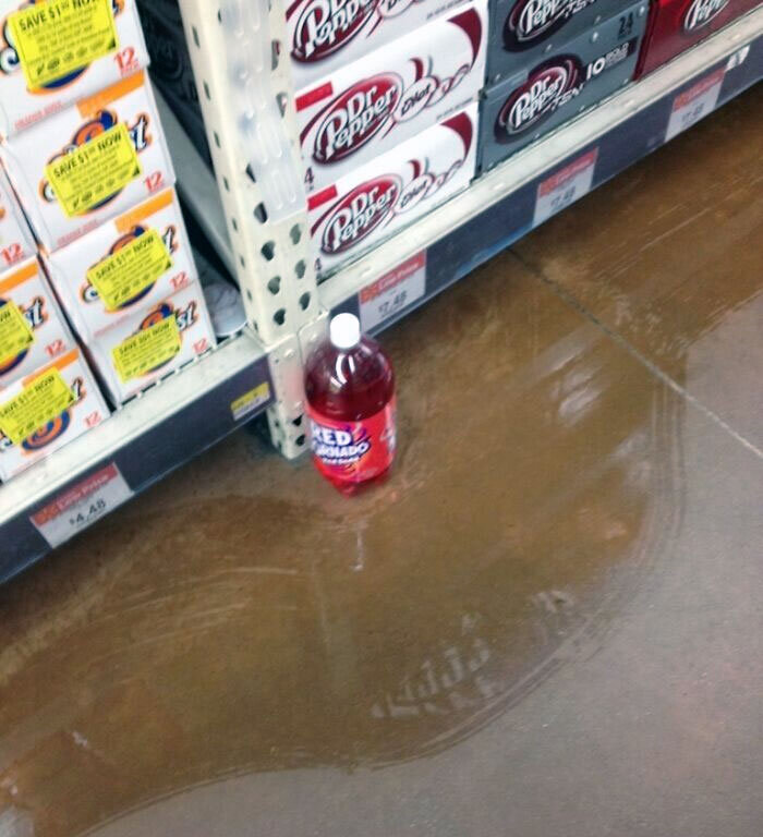 Фото: Fireman657 / Reddit📷
