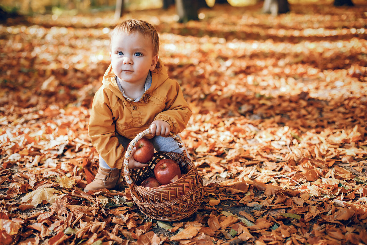 Он любит играть листьями. Рыжий мальчик в осеннем лесу. Дети играют с листьями. Ребенок играет с листиками. Осенний лес картинки для детей вертикальные.