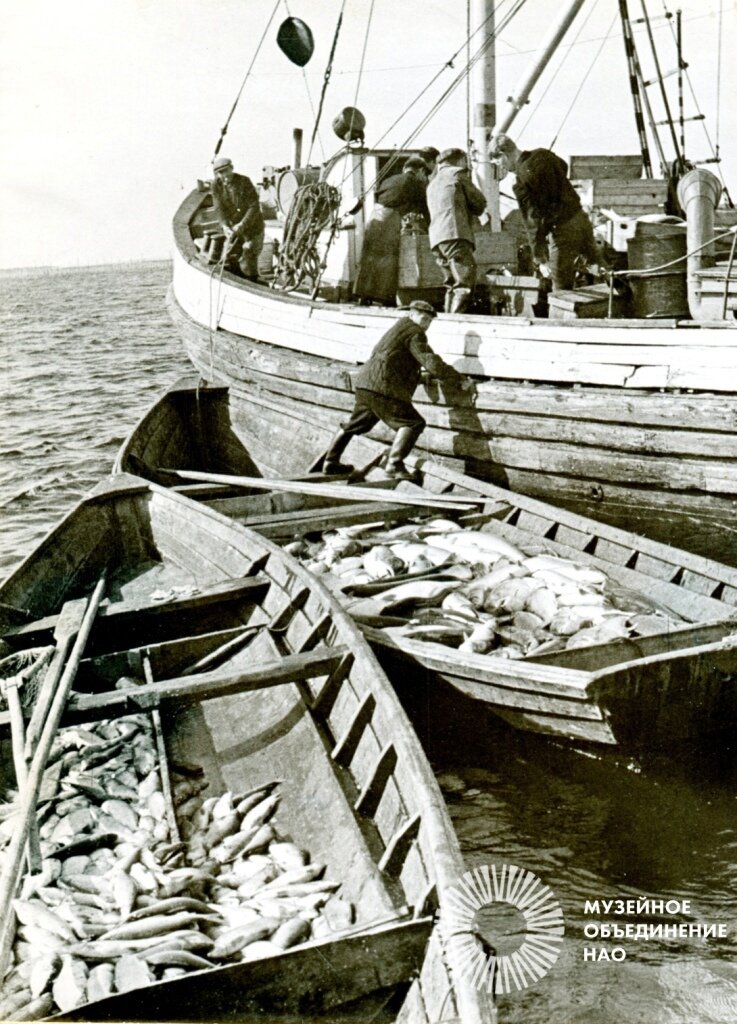 Сдача улова на приёмное судно. Начало 1970-х гг. Фото: Из фондов Музейного объединения НАО