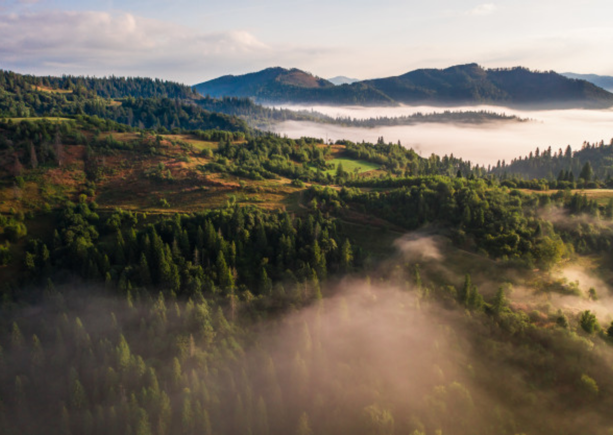 Источник: freepik.com